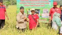 Edi Damansyah Ajak Kolompok Tani Tenggarong Seberang Panen Padi Organik